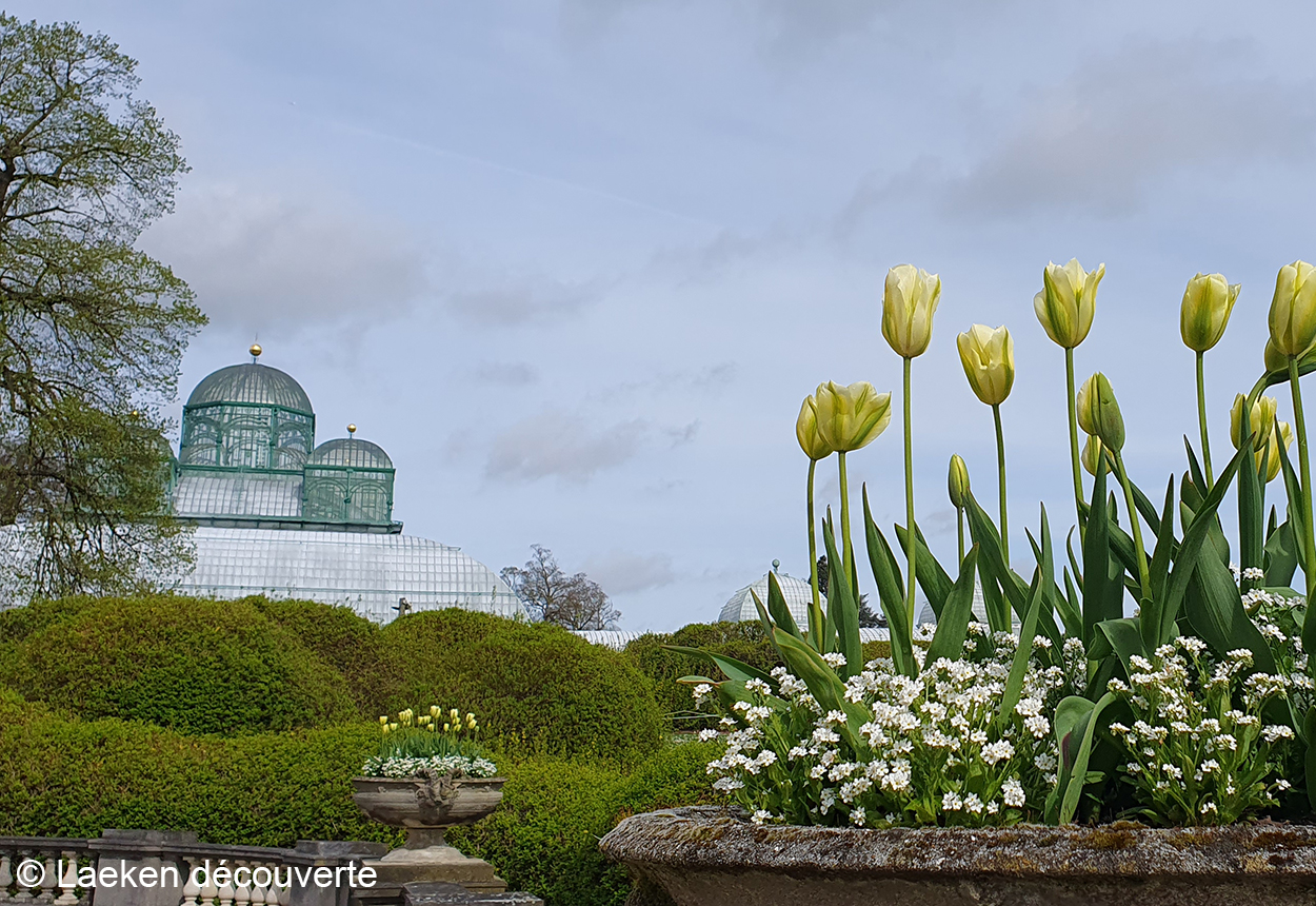 Visit the Royal Greenhouses of Laeken 